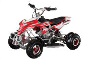 Mini Quad Bike - Quads