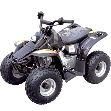 Quad Bike LLA70- Quad Bikes - Quads - Quadbikes