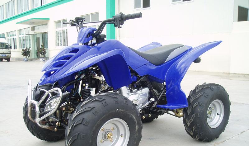 Quad Bike LLE110- Quad Bikes - Quads - Quadbikes