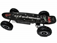 Electric SkateBoards - 800w Electric SkateBoard - Electric Skateboard