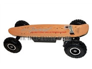 Electric SkateBoards - 800w Electric SkateBoard - Electric Skateboard