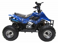 Childrens Quad Bikes for Sale - Kids Quad bikes - 50cc Quad Blue