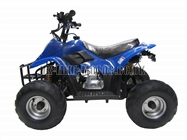 Childrens Quad Bikes for Sale - Kids Quad bikes - 50cc Quad Blue