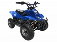 Childrens Quad Bikes for Sale - Kids Quad bikes - 50cc Quad Blue
