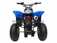Childrens Quad Bikes for Sale - Kids Quad bikes - 50cc Quad Blue