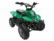 Childrens Quad Bikes for Sale - Kids Quad bikes - 50cc Quad Green