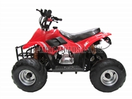 Childrens Quad Bikes for Sale - Kids Quad bikes - 50cc Quad Red