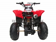 Childrens Quad Bikes for Sale - Kids Quad bikes - 50cc Quad Red