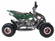 Mini Quad Bikes - Mini Quad Bike Green - Mini Moto Quad