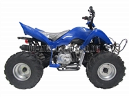 Quad Bikes - 110cc Quad Bike Blue - Off Road Quads