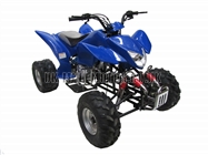 Quad Bikes - 200cc Quad Bike Blue - Off Road Quads