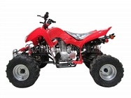 Quad Bikes - 200cc Quad Bike Red - Off Road Quads