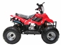 Childrens Quad Bikes for Sale - Kids Quad bikes - 50cc Quad Red